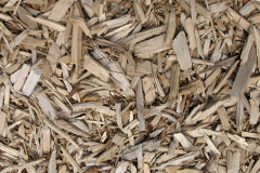 biomass boilers Llangua