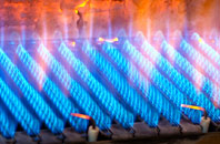 Llangua gas fired boilers